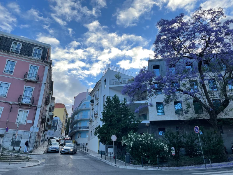 Lisboa - gallery image 18