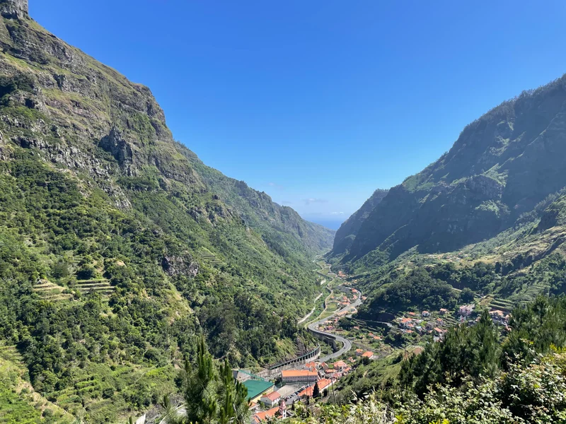 Madeira - gallery image 10