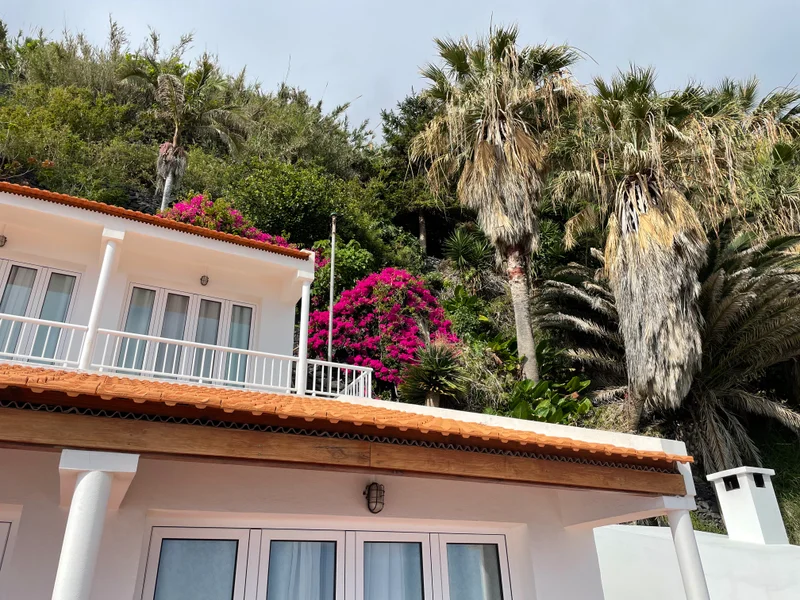 Madeira - gallery image 3