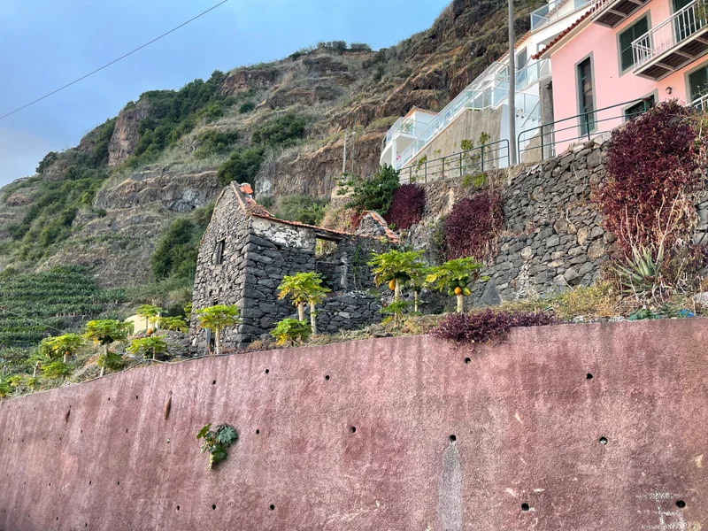 Madeira - gallery image 25