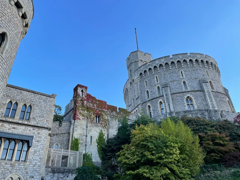 Windsor - gallery image 1