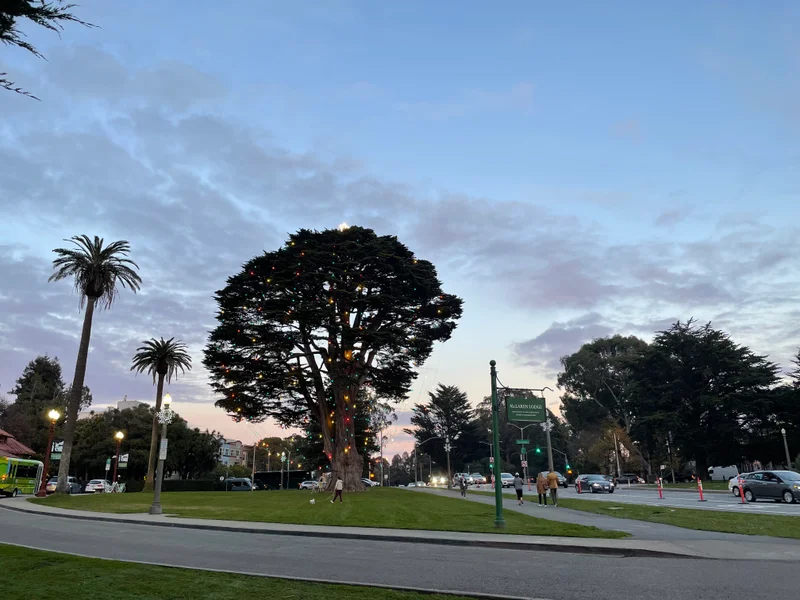 SF - gallery image 1