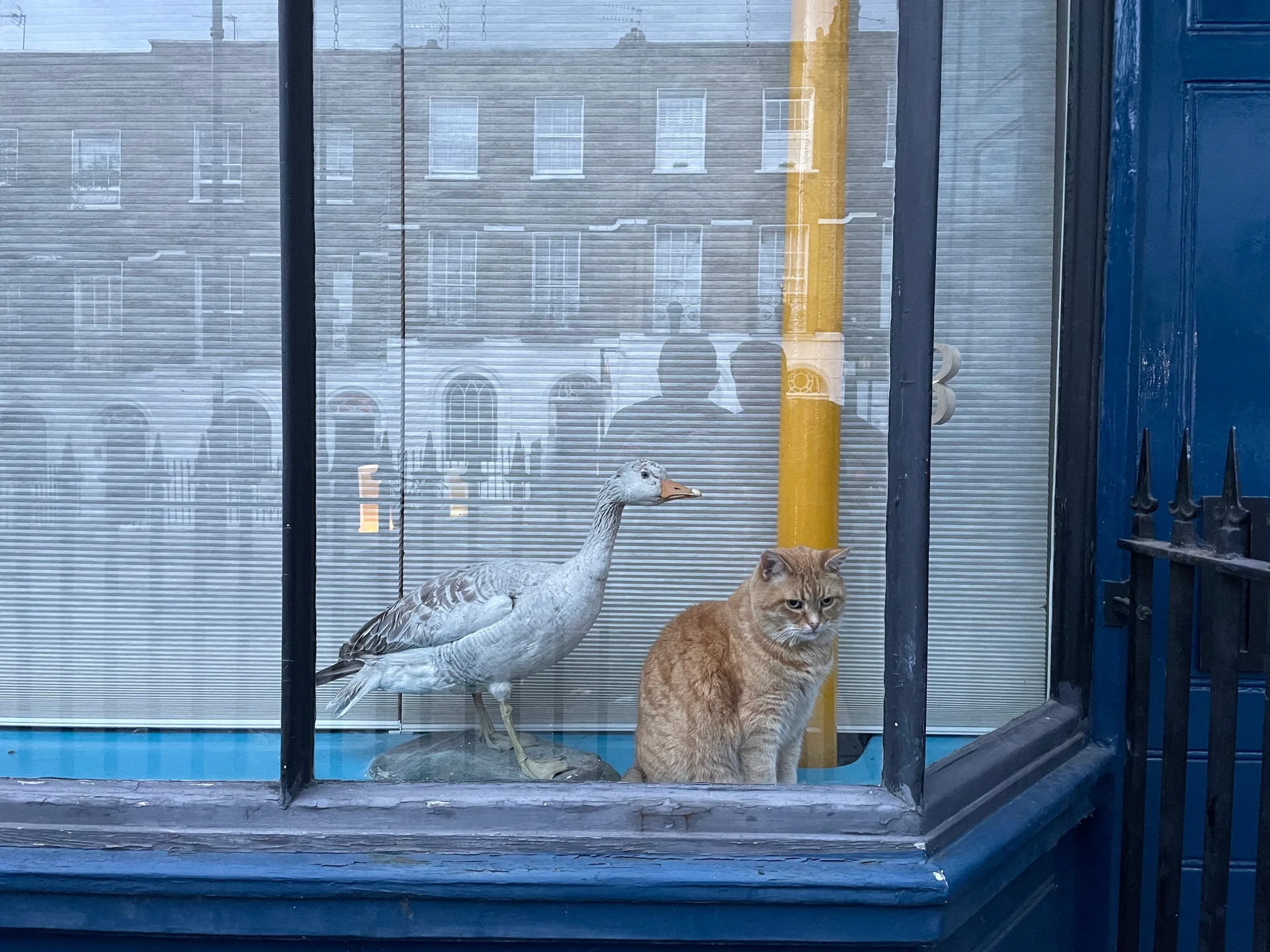 He's behind you! - feature image