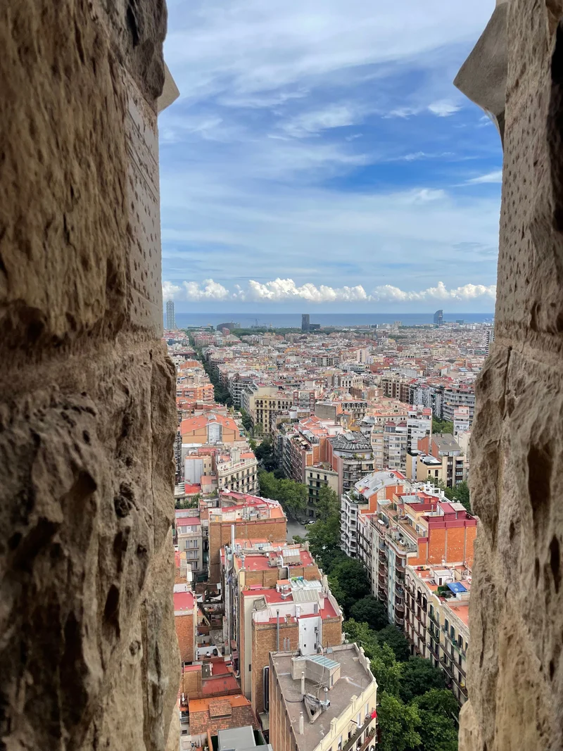 La Sagrada Familia - gallery image 13