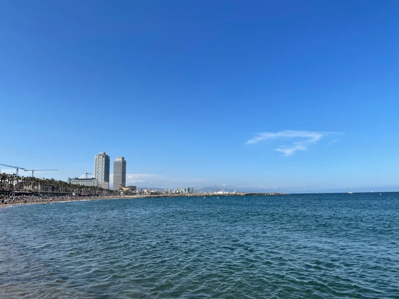 Barcelona - gallery image 14