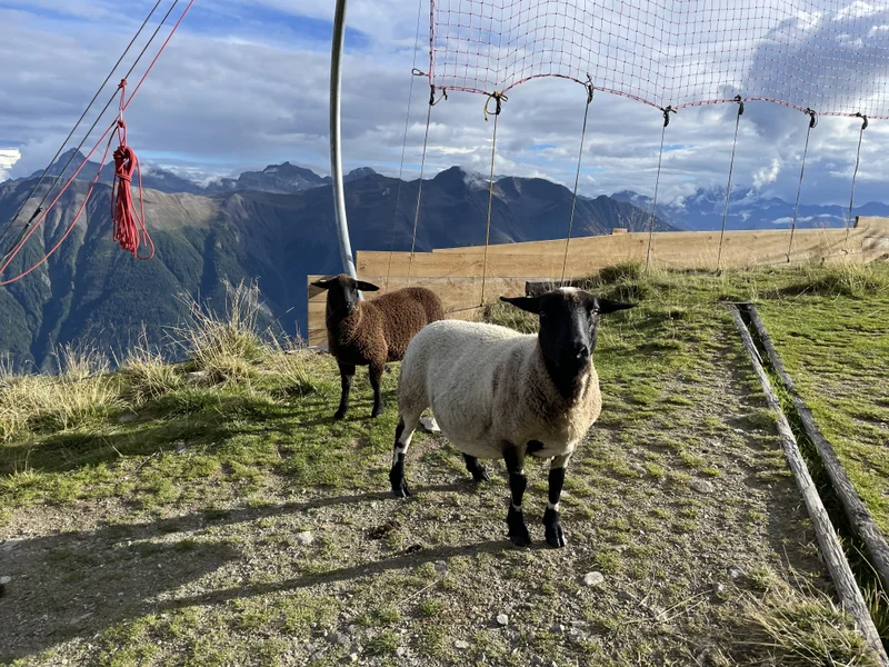 Fiescheralp - gallery