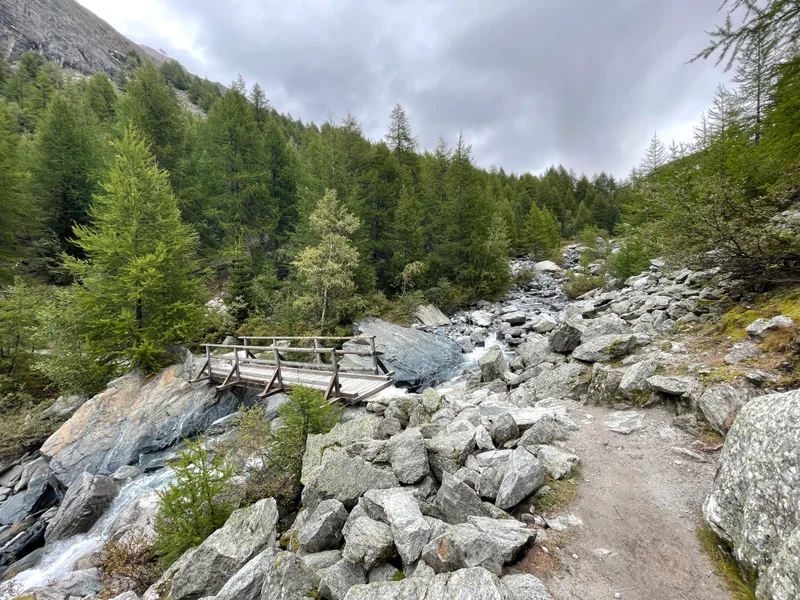 Zermatt - gallery image 22