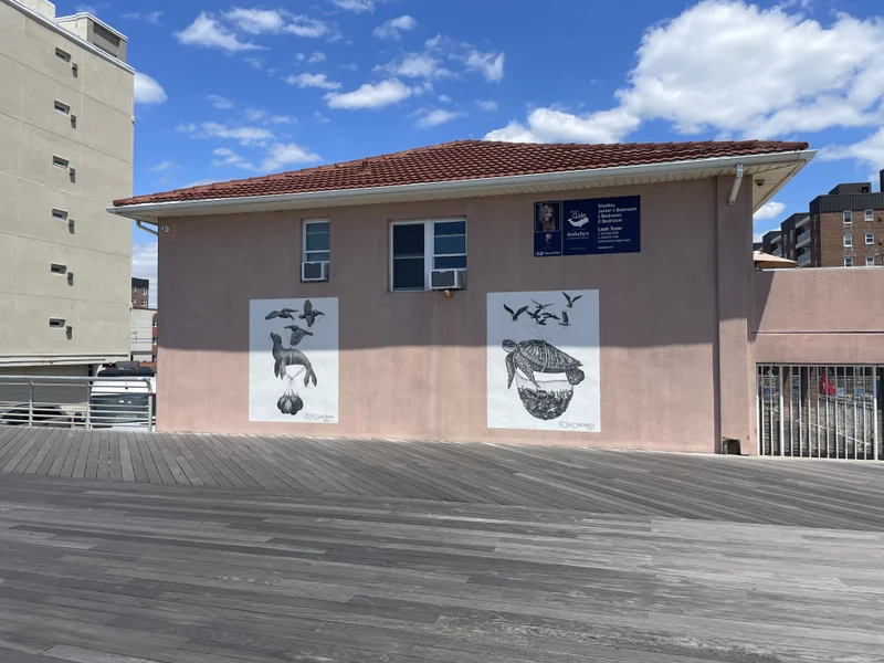 Long Island - gallery image 1