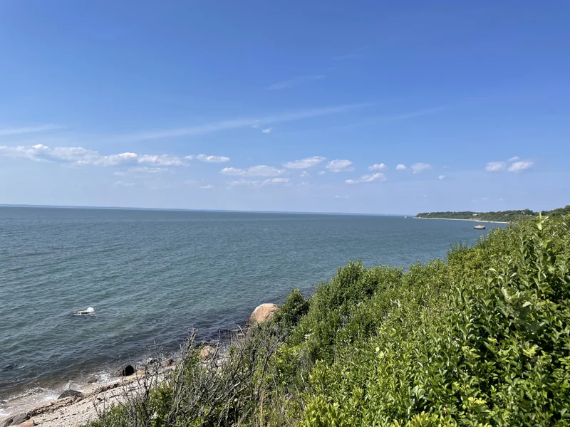 Long Island - gallery image 4