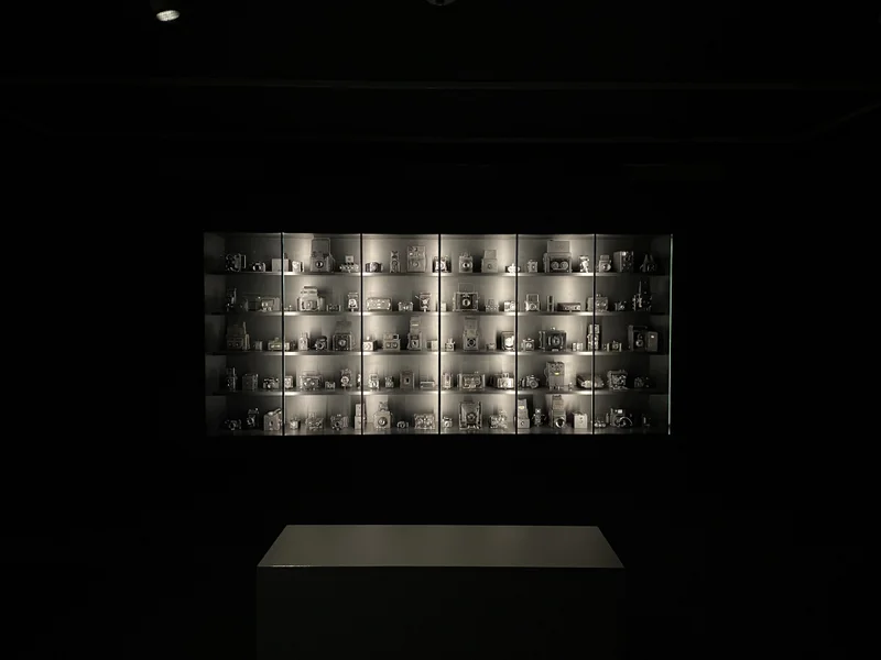 Summer in Antwerp - gallery image 8