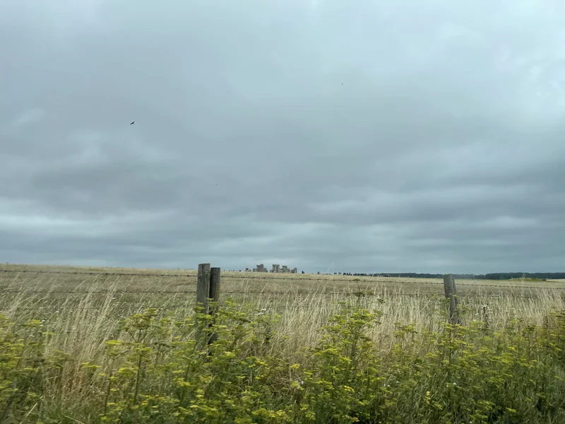 Jurassic Coast - gallery image 8