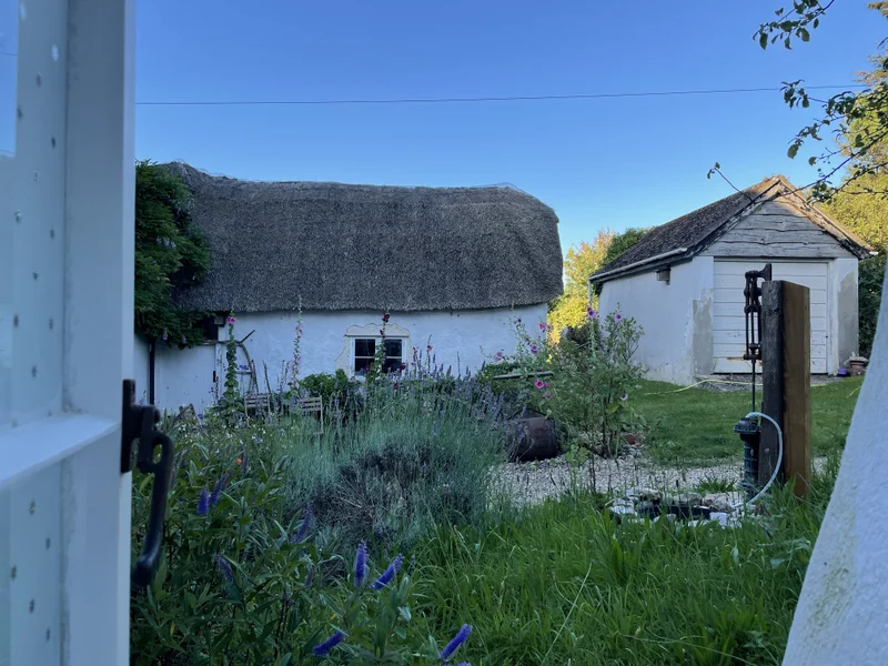 Jurassic Coast - gallery image 7