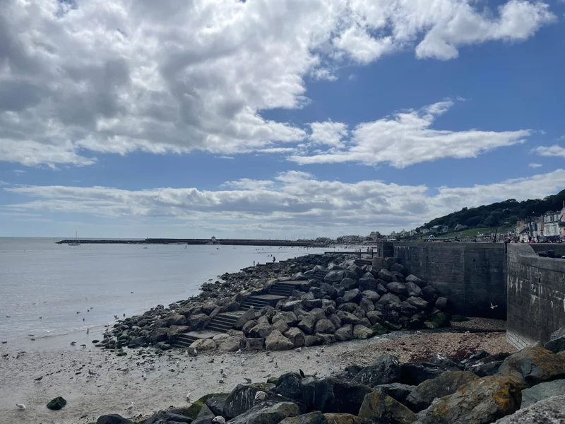 Jurassic Coast - gallery image 4