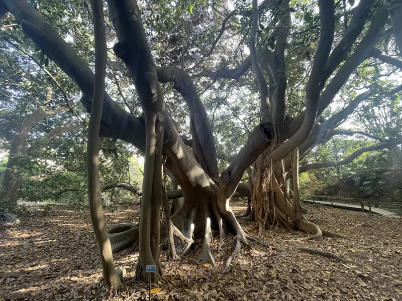 Cagliari - gallery image 23