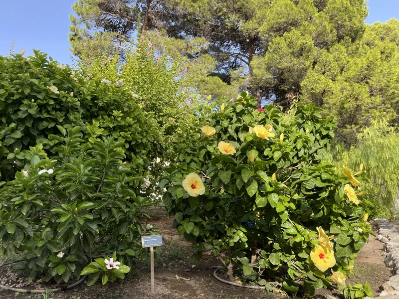 Cagliari - gallery image 25