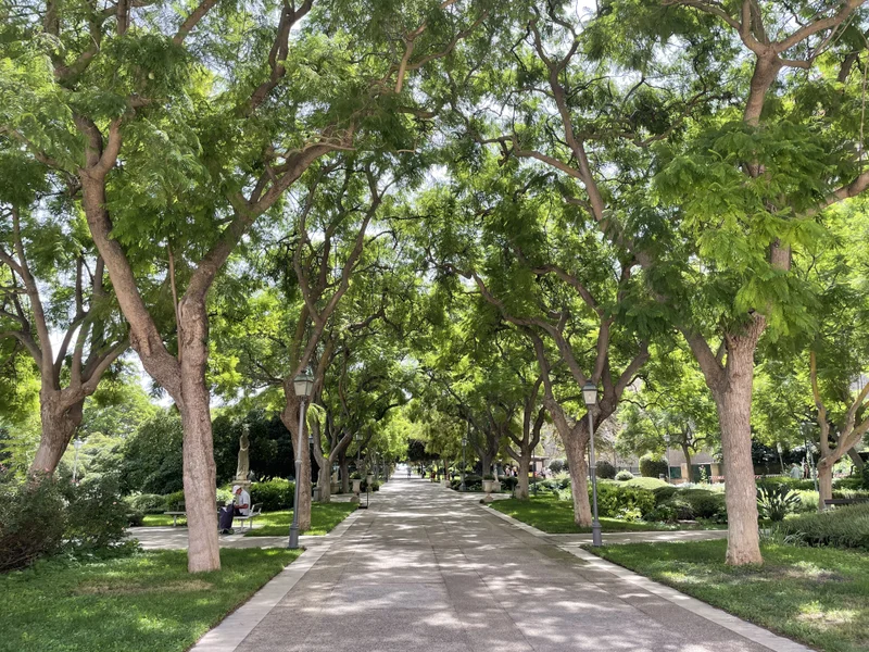 Cagliari - gallery image 6