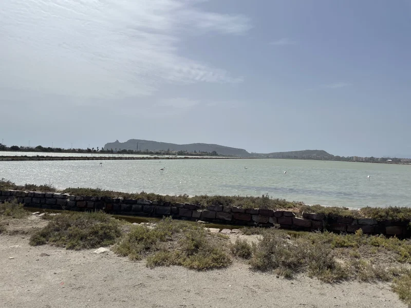 Cagliari - gallery image 26