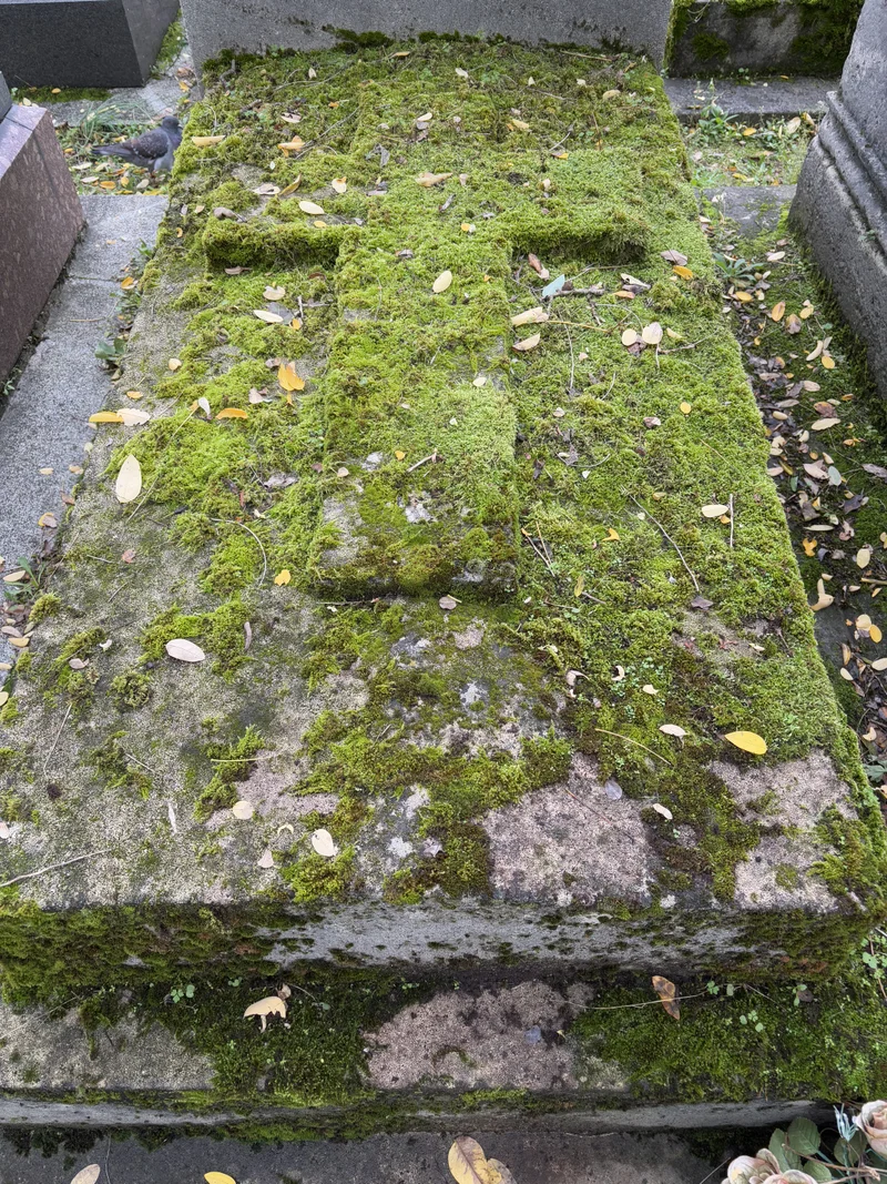 Dead Parisians - gallery