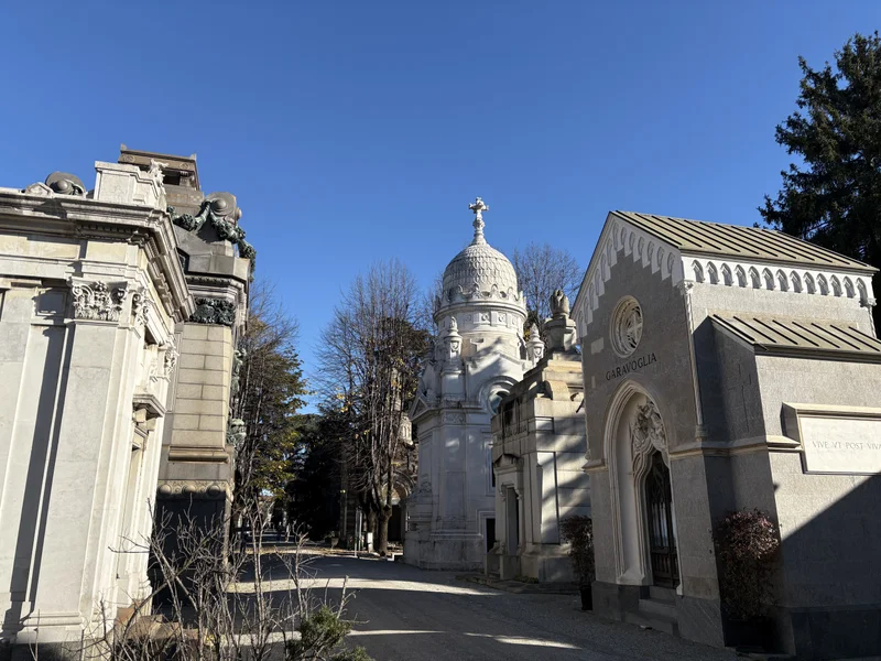 Morto - gallery image 8