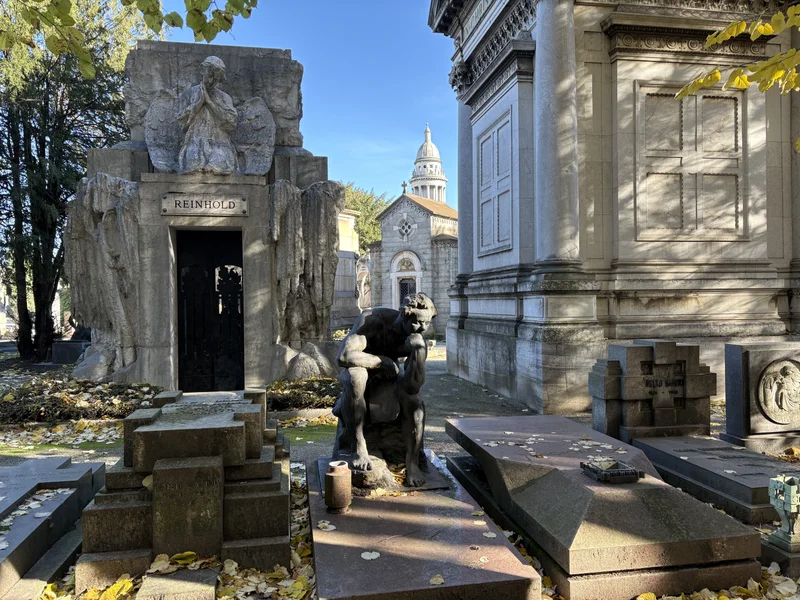 Morto - gallery image 6