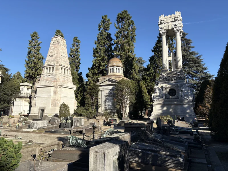 Morto - gallery image 12