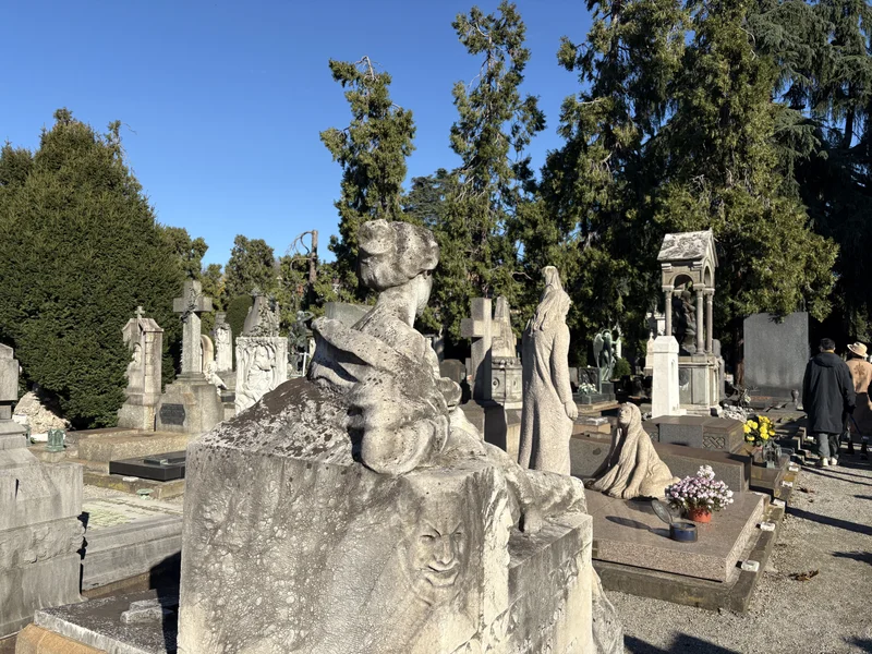 Morto - gallery image 11