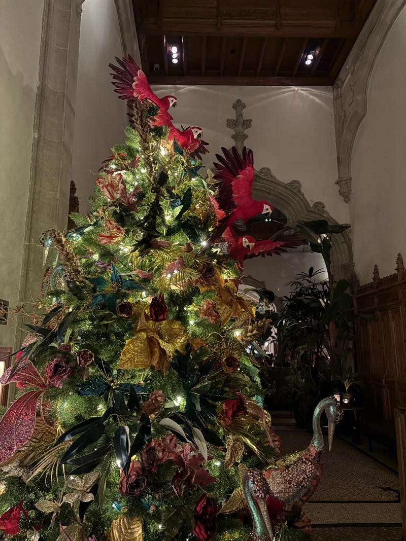 Antwerp 2025 - gallery image 6