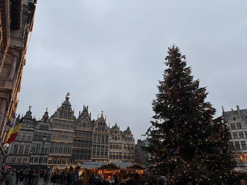 Antwerp 2025 - gallery image 3